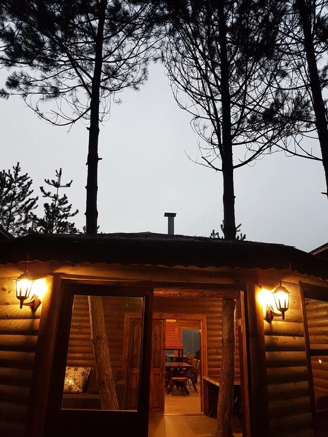 Vila Cam Pinari Doga Evleri Mengen Exteriér fotografie